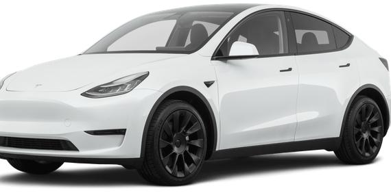 TESLA MODEL Y 2021 5YJYGDEE0MF243812 image